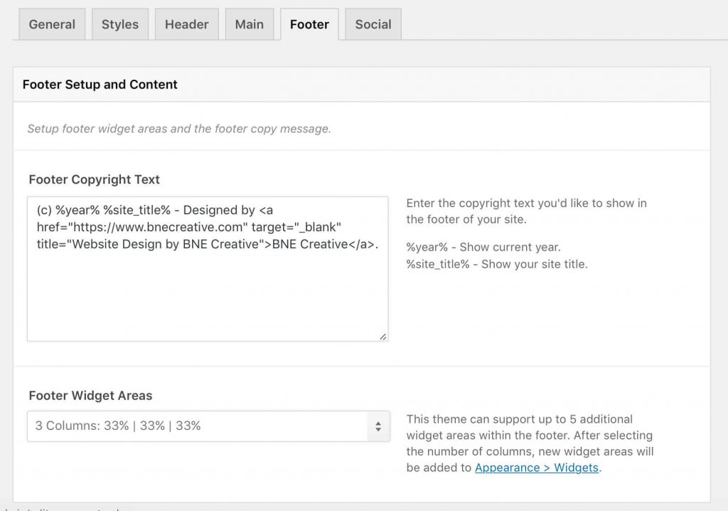 Appearance > Theme Options > Footer